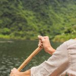 台灣常見野生動物介紹與應對方式