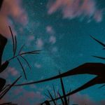 觀星新手指南：從零開始認識夜空
