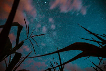 觀星新手指南：從零開始認識夜空